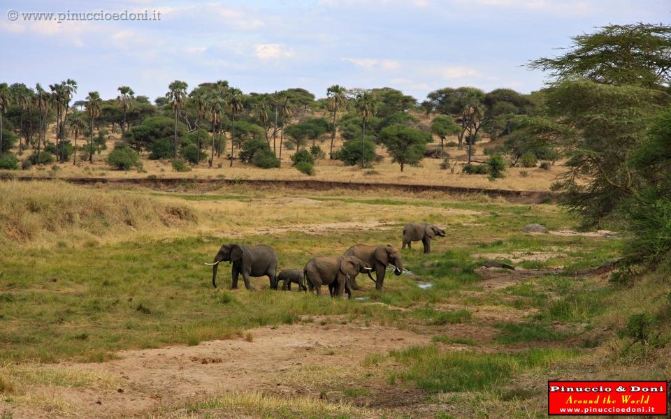 TANZANIA - Tarangire National Park - 25.jpg